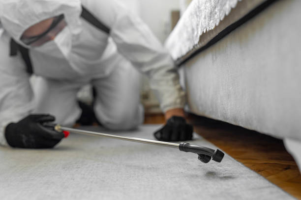 Professional Ant Control technician working in Loyal, WI